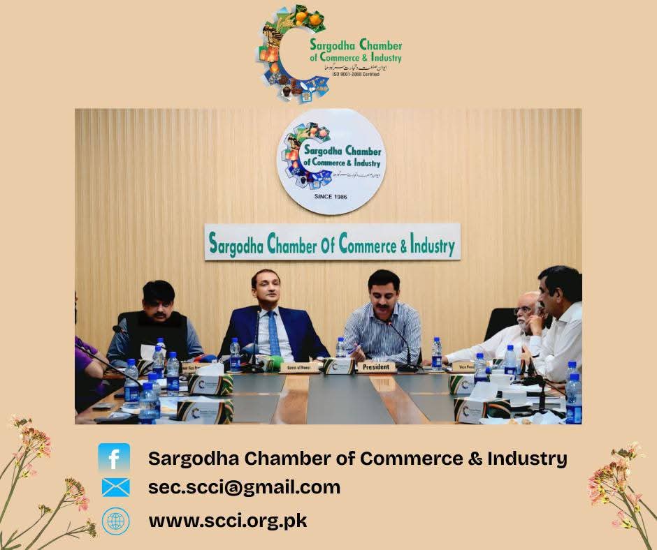 1762243717_WhatsApp Image 2025-11-04 at 12.49.08_c78df629.jpg